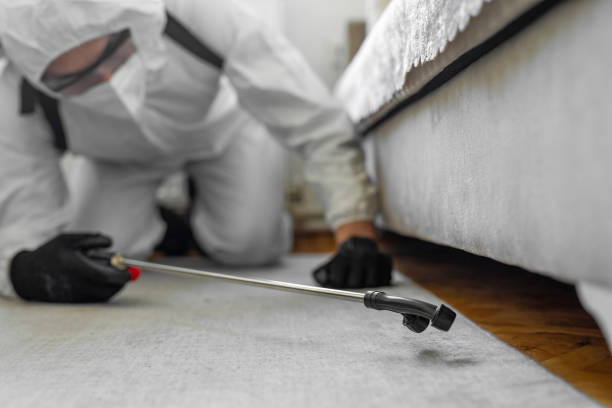 Professional Bed Bug Control technician working in Hasbrouck Heights, NJ