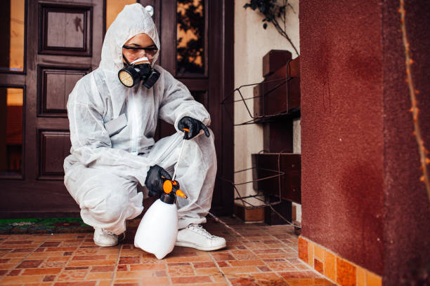 Reliable Bed Bug Control contractor in Hasbrouck Heights, NJ by Nex Pest Control