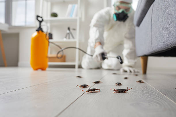 Trusted Rodent Control service in Hasbrouck Heights, NJ - Nex Pest Control