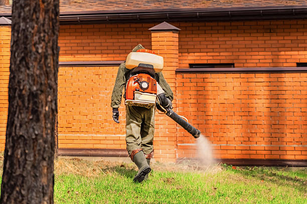 Trusted Bed Bug Control service in Hasbrouck Heights, NJ - Nex Pest Control